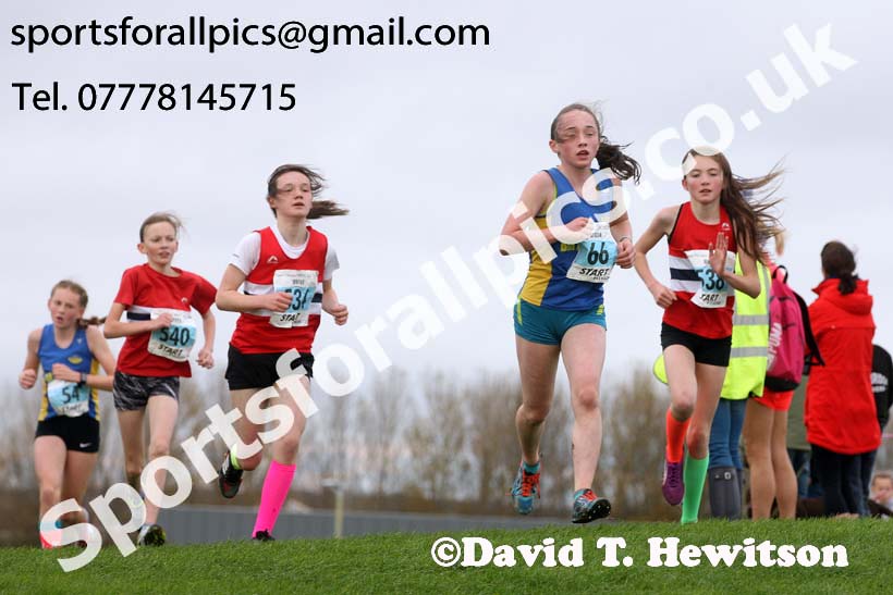 Girls under-13s, Sherman Cup and Davison Shield, Temple Park, South Shields. Photo:  David T. Hewitson/Sports for All Pics